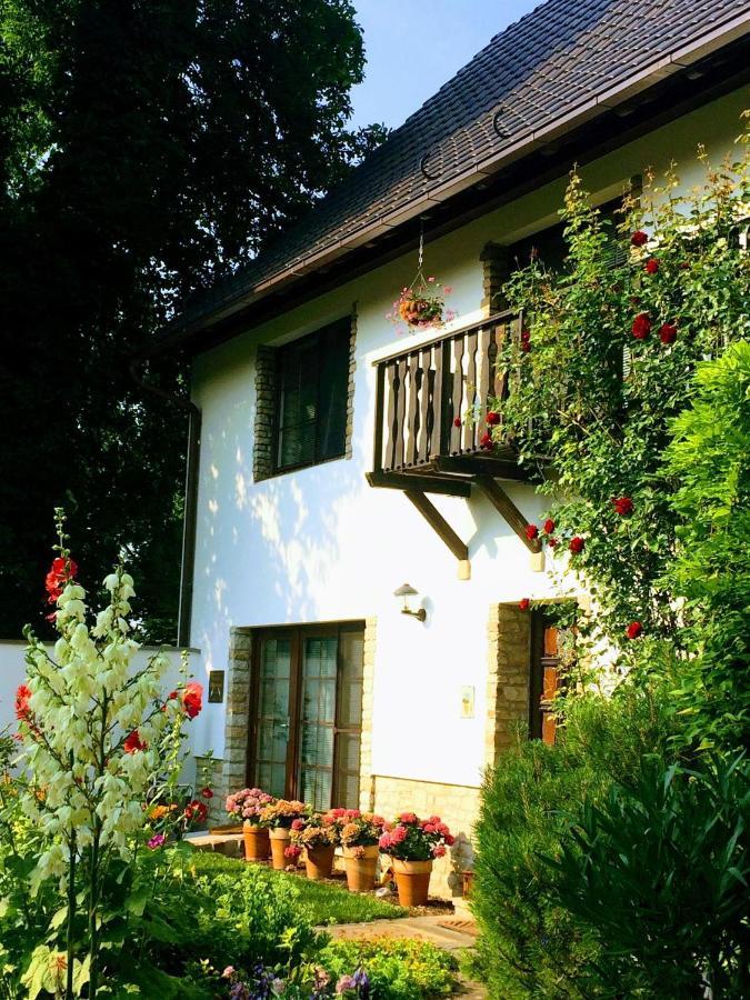 Ferienwohnung "Am Geiseltal" メルゼブルク エクステリア 写真