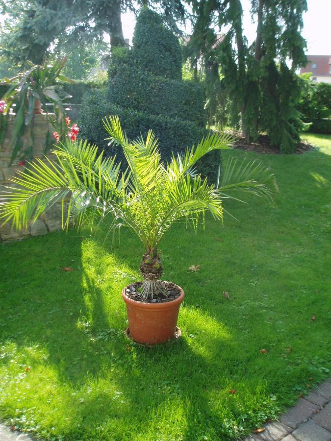 Ferienwohnung "Am Geiseltal" メルゼブルク エクステリア 写真